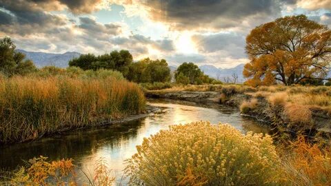 Скачать обои river, sky, trees, sun, plants, late afternoon,