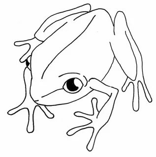 puerto rico coqui drawing - kettlerellipticalcrosstrainersal