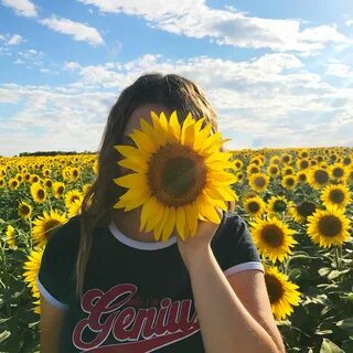 Sunflower 🌻 Подсолнухи, Гламурная фотография, Инстаграм