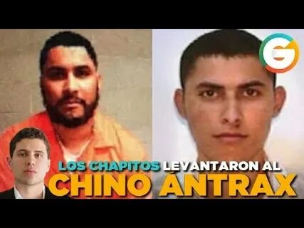 Los Chapitos fueron por El Chino Ántrax #Sinaloa - YouTube