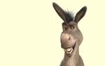 Donkey From Shrek Quotes. QuotesGram
