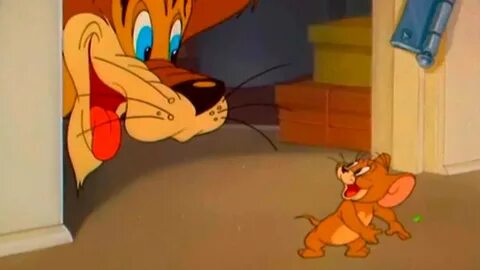 Tom and Jerry - Jerry And The Lion - Episode 50 - Tom and Je