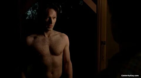 Free Stephen Moyer Naked (120 Photos) The Celebrity Daily