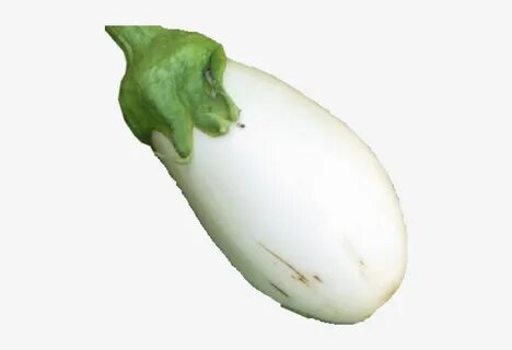 White Eggplant - Free Transparent PNG Download - PNGkey