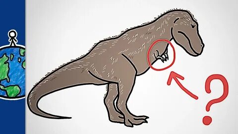 Why Did the T. Rex Have Such Puny Arms? Videos