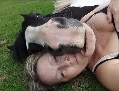 Adorable Horse Uses Mom As His Pillow : AmazingPandph