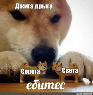 Комикс мем: "Джига дрыга Света Серега" - Комиксы - Meme-arse