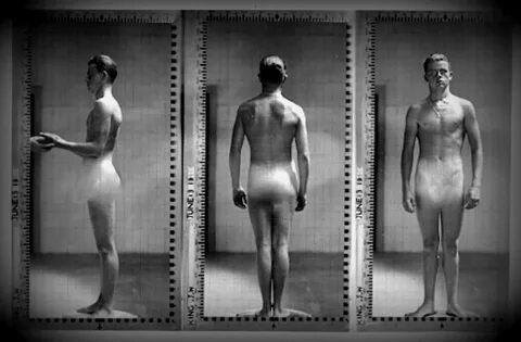 aaroncarmichael: #39 - Ivy League Nude Posture Photos