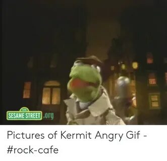 🐣 25+ Best Memes About Kermit Typing Meme Kermit Typing Meme