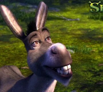 Скачать обои осел, шрек, donkey, shrek разрешение 960x854 #5