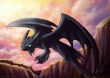 Toothless the Night Fury dragon flying in the sunset sky Nig