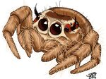 Download Cute Drawing At Getdrawings - Cute Jumping Spider D