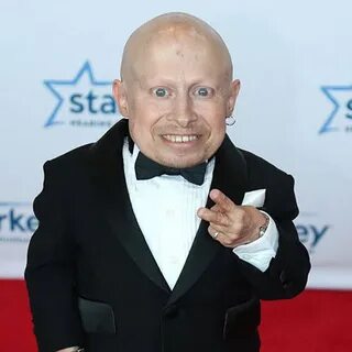 Verne Troyer Bio, Fact - age, height, net worth, married, di