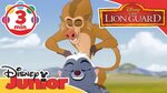 The Lion Guard The Baboon Dance Song Disney Junior UK - YouT