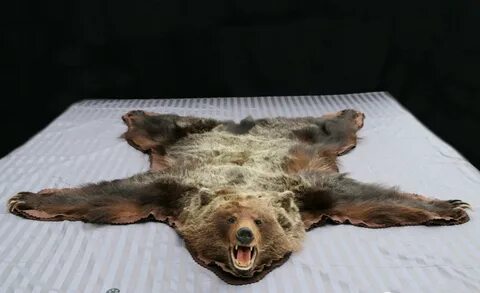 Bare Foot Tease Bear Rug