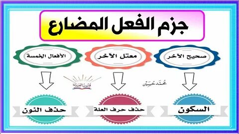يكتب محمد الدرس . علامة رفع الفعل يكتب