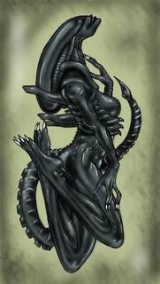 xenomorph and woman - Bing images Xenomorph, Alien queen, Fe