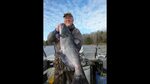 MALE OR FEMALE CATFISH? MYSTERY SOLVED!!!!!!! - YouTube