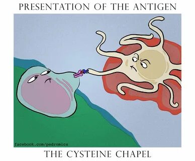 The Creation of Antigenicity. Comic by www.facebook.com/pedr