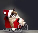 Grumpy Cat's Worst Christmas Ever (2014)