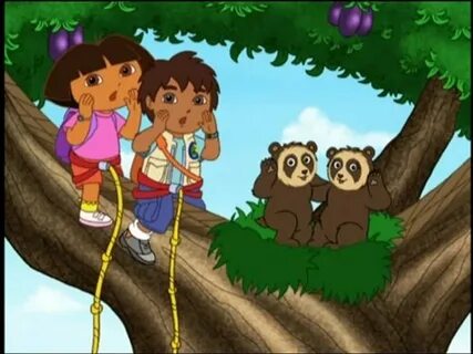 "Вперед, Диего! Вперед!" Chito and Rita the Spectacled Bears