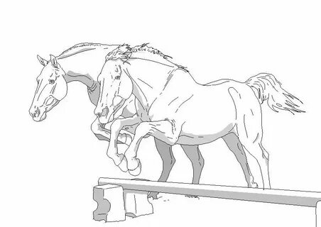 #horseriding #horserider #equine Horse lineart Horse art dra