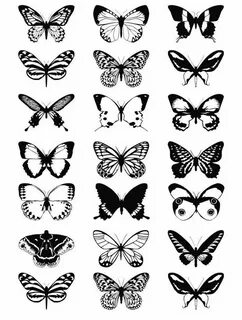 Study in Black and White Butterflies Ceramic Decals Enamel E