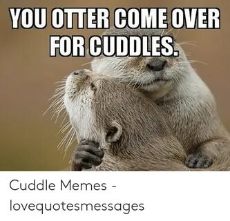 🐣 25+ Best Memes About Cuddle Meme Cuddle Memes