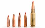 Gallery of 5 best ar 15 calibers and cartridges for the mone