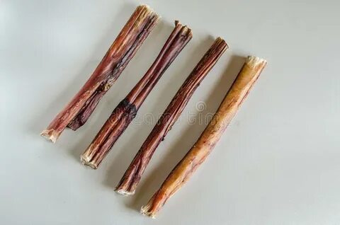 Dried Bull Penis. Bully Sticks for Pet Stock Image - Image o