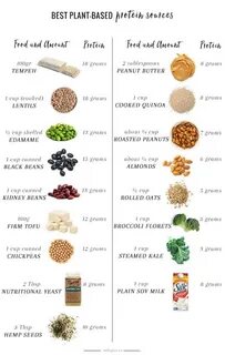 A Nutritionist Explains: The Best Plant-Based Protein Source