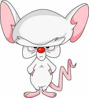 Pinky and The Brain - Brain Classic cartoon characters, Favo