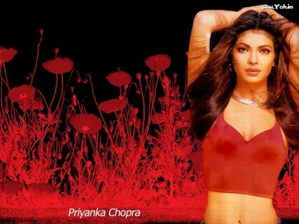 cocoopix.blogspot.com: priyanka wallpaper