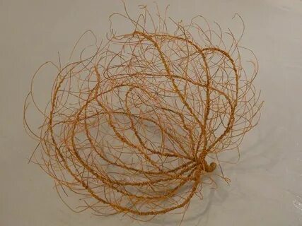 Tumbleweed - Nichola Kinch - Artist Tumbleweed, Artist, Scul