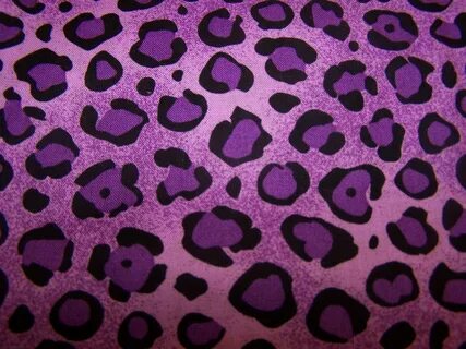 Pink Cheetah Wallpaper (72+ images)
