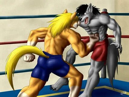 Furry wrestling