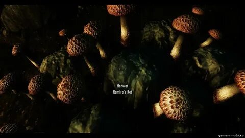 Реалистичные грибы / Realistic Mushrooms - Реплейсеры Ретекс