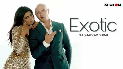 Exotic Priyanka Chopra Ft Pitbull DJ Shadow Dubai Remix - Yo
