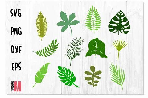 Jungle Leaves Tropical SVG Bundle Graphic by Typography Moro