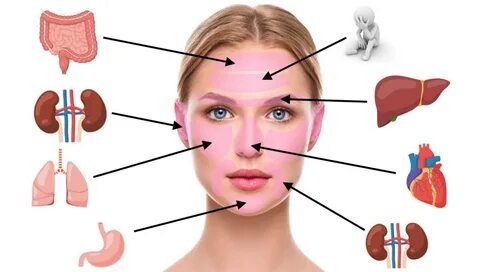 Face mapping- Was Pickel im Gesicht über deine Gesundheit sa