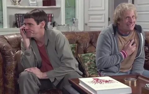 We watched the new Dumb and Dumber trailer so you don't have