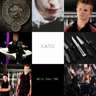 Cato Aesthetic Cato hunger games, Hunger games films, Hunger