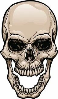 165628919-skull-with-wide-open-mouth-gettyimag Skull art dra