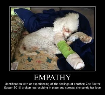 Zoe Meme #80: Empathy Walking Through This Together