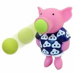 pig popper toy Online Shopping