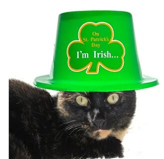Tagged: St. Patrick's Day - The Conscious Cat