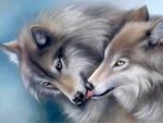 Pin by Alyssa rickey on WOLVES. Wolf love, Beautiful wolves,