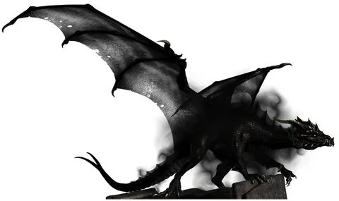 Shadow Dragon by Ascynd on deviantART Shadow dragon, Dragon 