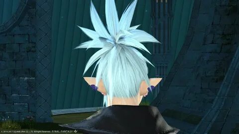 Rainmaker Hairstyle Final Fantasy Xiv A Realm Reborn Wiki - 