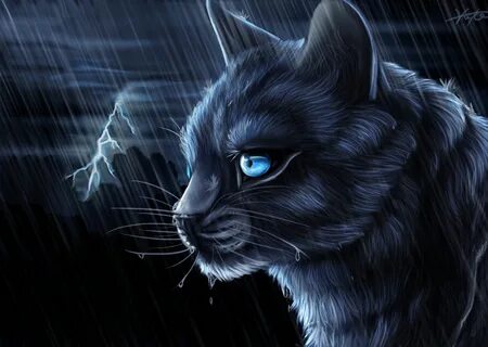 Warrior Cats Wallpaper posted by Ethan Cunningham